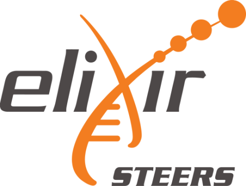 ELIXIR STEERS Logo