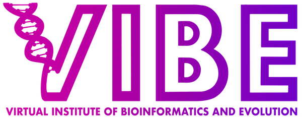 VIBE Logo