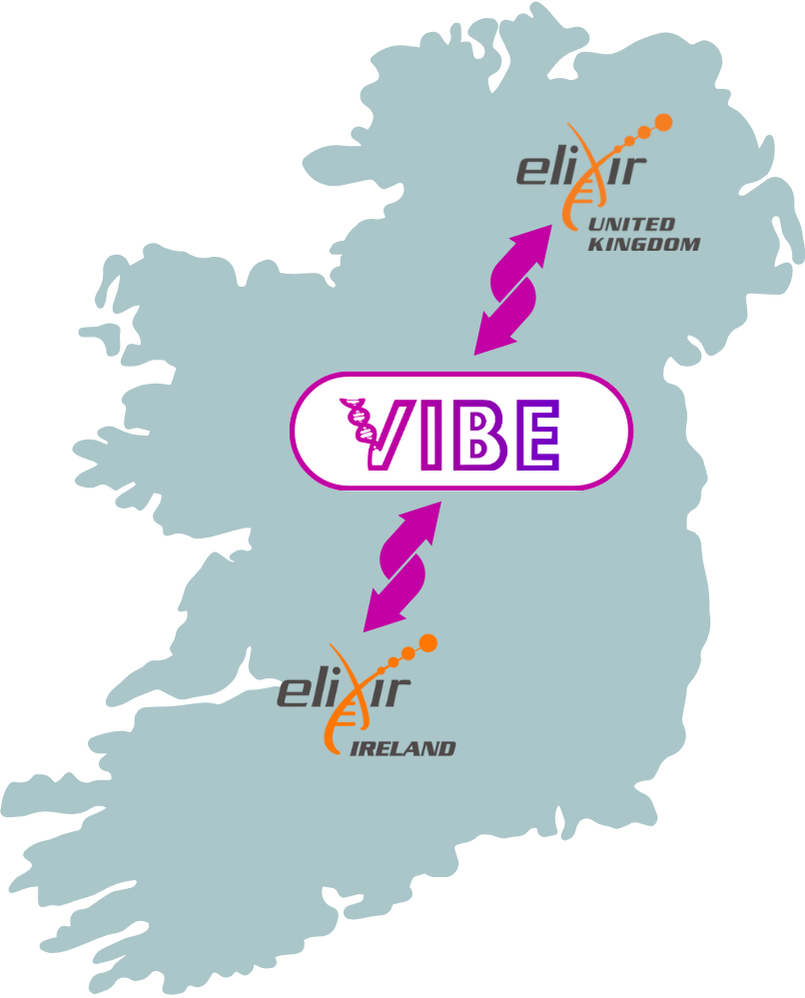 VIBE All-Island Network Map