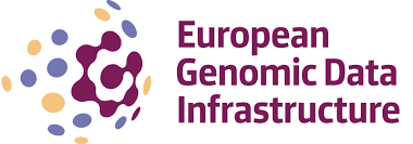 GDI Ireland Logo